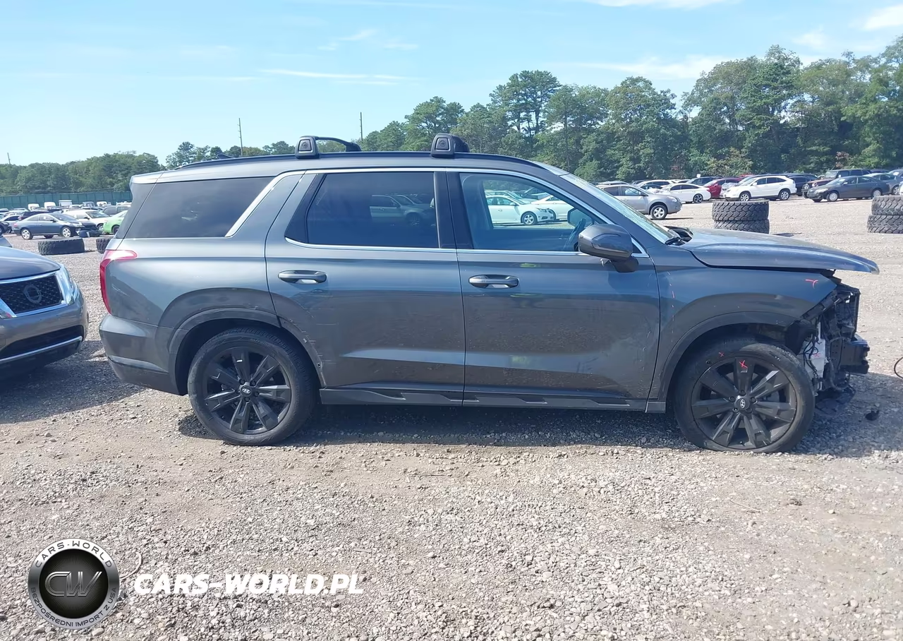 2023 Hyundai Palisade Xrt VIN:KM8R3DGE2PU591440 - 13