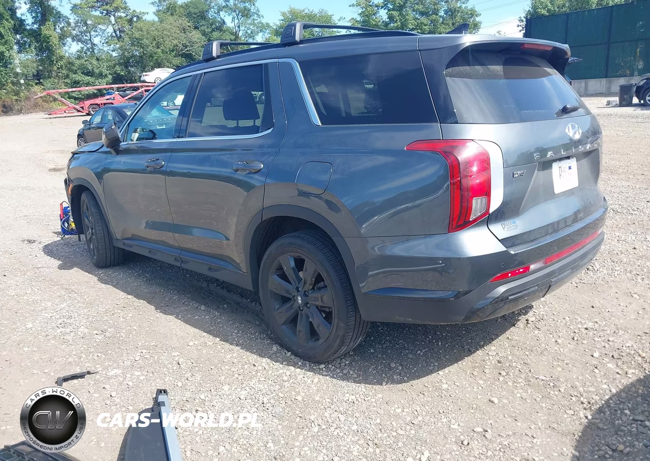 2023 Hyundai Palisade Xrt VIN:KM8R3DGE2PU591440 - 3