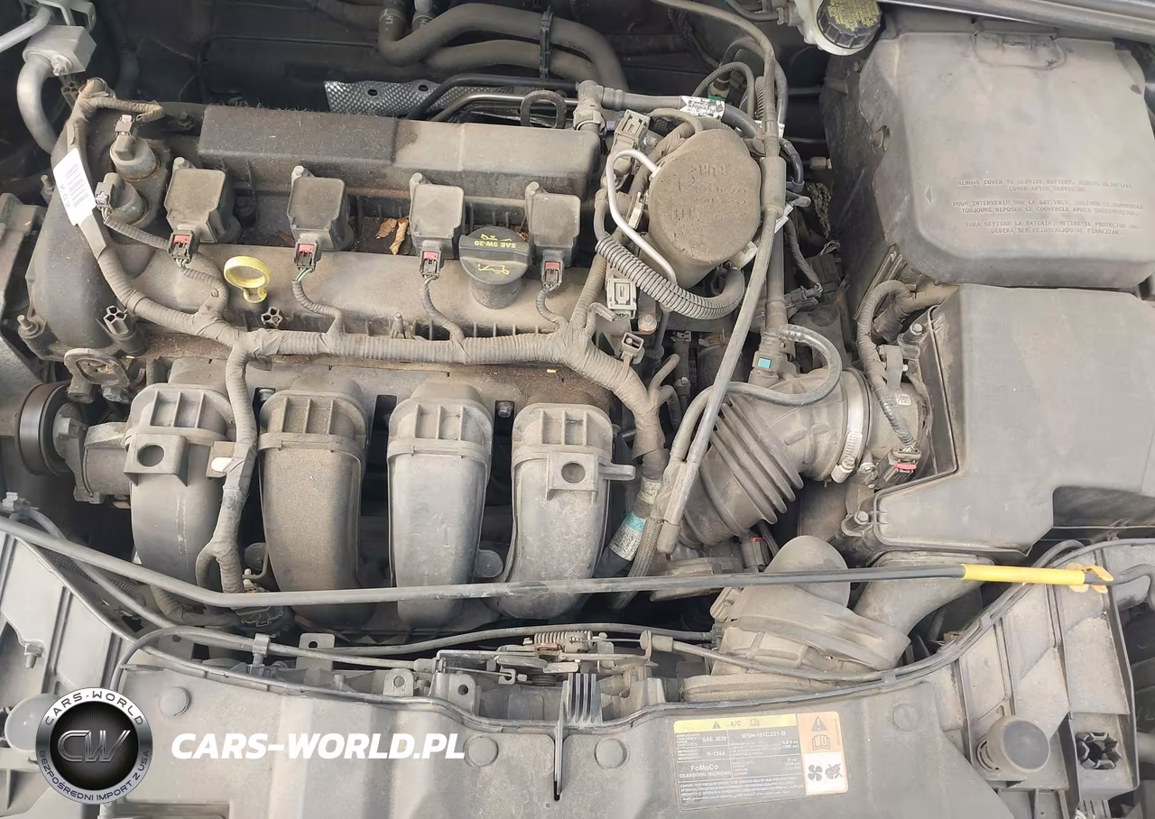 2013 Ford Focus Se VIN:1FADP3K2XDL338870 - 10