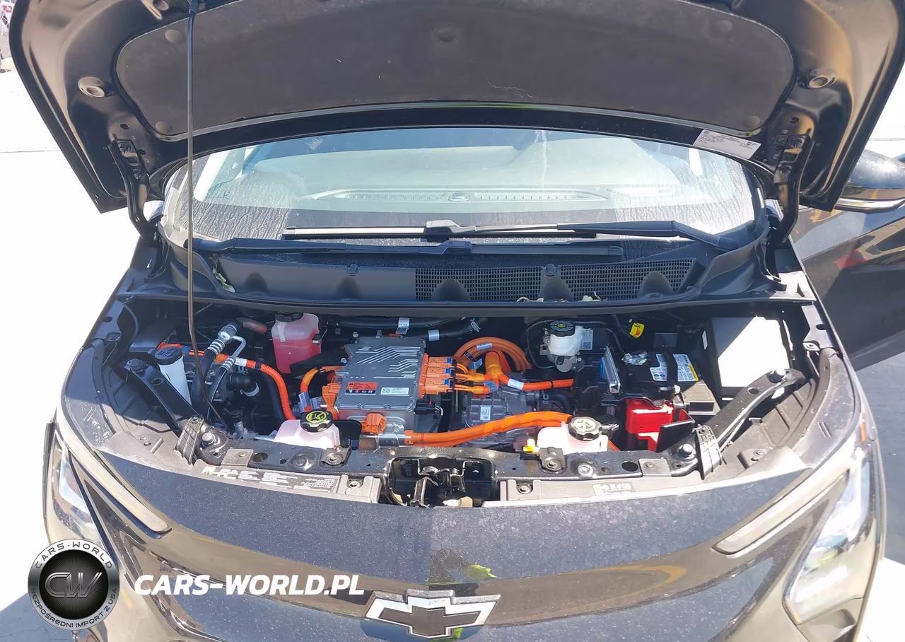 2023 Chevrolet Bolt Ev Fwd 2Lt VIN:1G1FX6S00P4161658 - 10