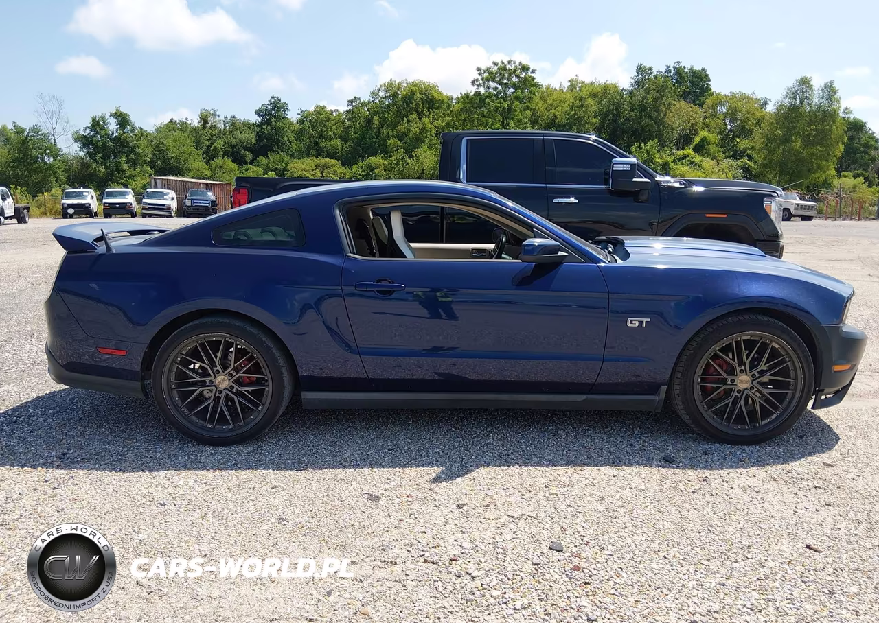 2010 Ford Mustang Gt-Gt Premium VIN:1ZVBP8CH1A5162340 - 12