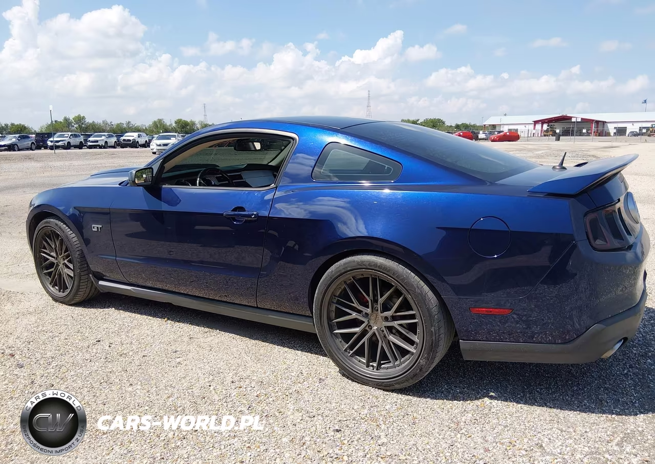 2010 Ford Mustang Gt-Gt Premium VIN:1ZVBP8CH1A5162340 - 13