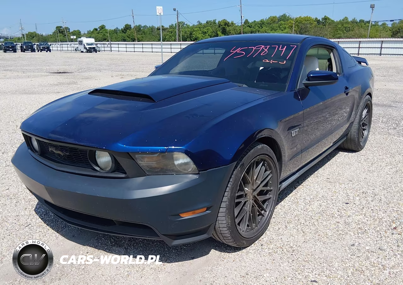 2010 Ford Mustang Gt-Gt Premium VIN:1ZVBP8CH1A5162340 - 2
