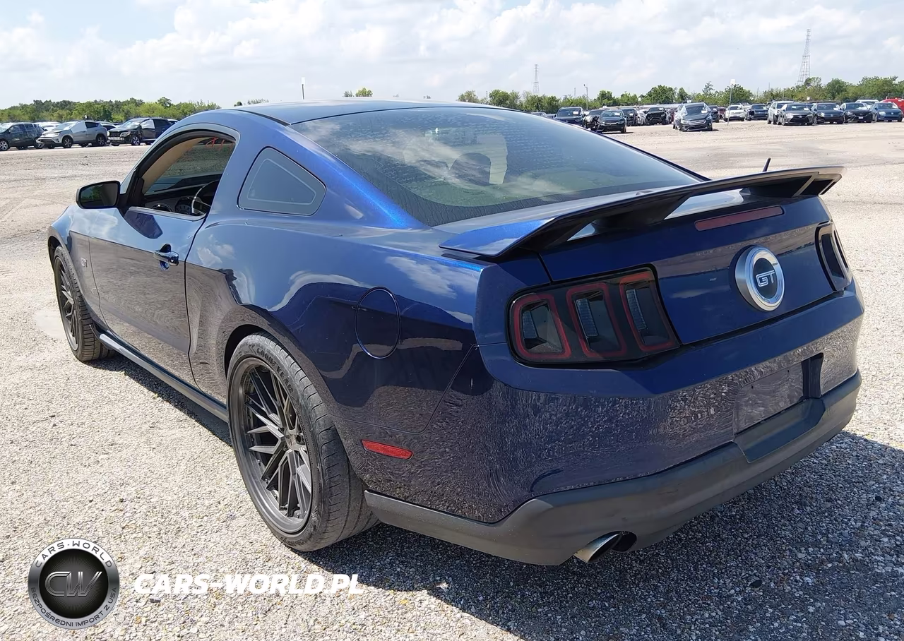 2010 Ford Mustang Gt-Gt Premium VIN:1ZVBP8CH1A5162340 - 3