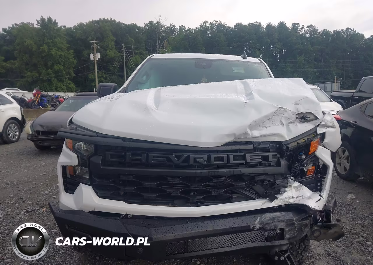 2024 Chevrolet Silverado 1500 4Wd Short Bed Lt VIN:2GCUDDED4R1265403 - 12