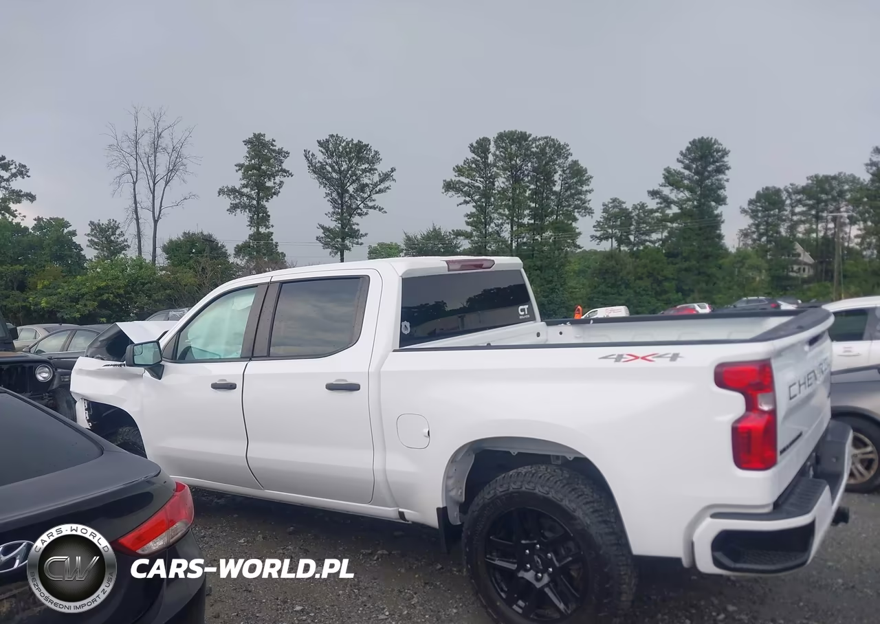 2024 Chevrolet Silverado 1500 4Wd Short Bed Lt VIN:2GCUDDED4R1265403 - 14