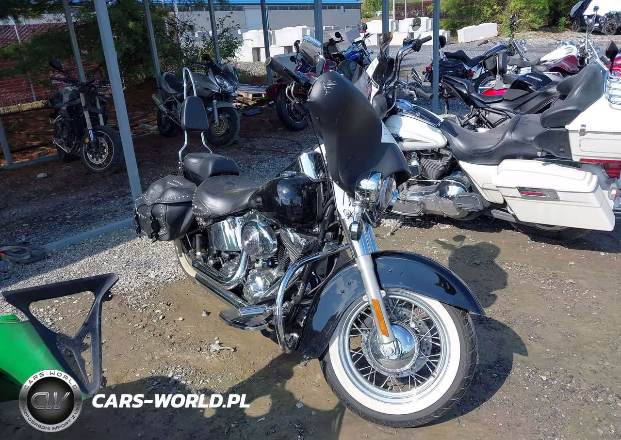 2006 Harley-Davidson Flstci