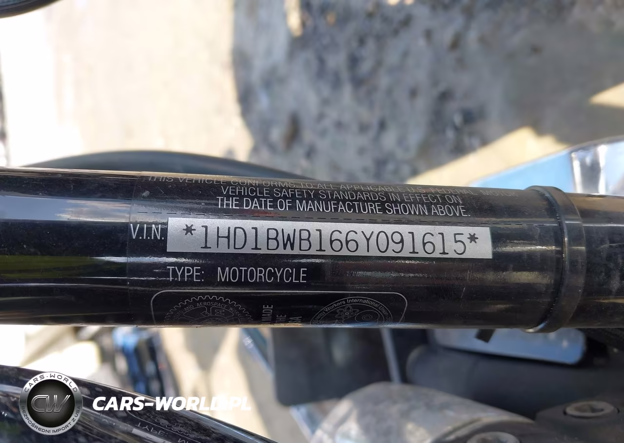 2006 Harley-Davidson Flstci VIN:1HD1BWB166Y091615 - 10