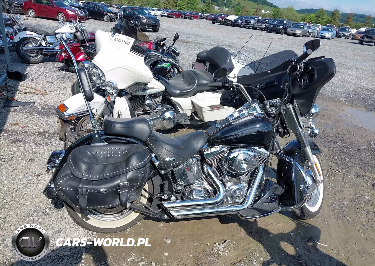 2006 Harley-Davidson Flstci VIN:1HD1BWB166Y091615 - 12