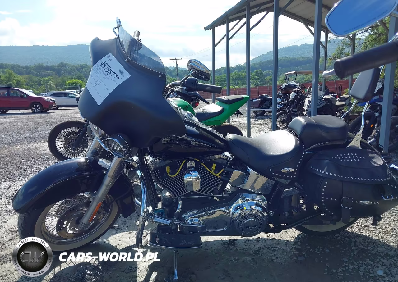2006 Harley-Davidson Flstci VIN:1HD1BWB166Y091615 - 13