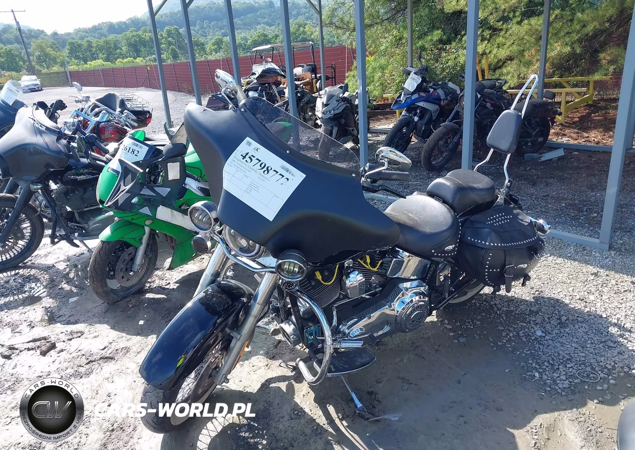 2006 Harley-Davidson Flstci VIN:1HD1BWB166Y091615 - 2