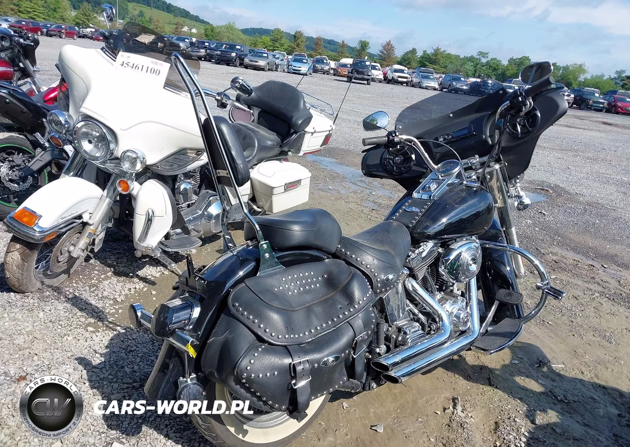 2006 Harley-Davidson Flstci VIN:1HD1BWB166Y091615 - 4