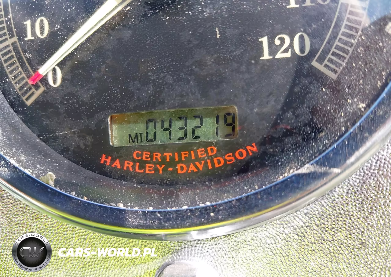 2006 Harley-Davidson Flstci VIN:1HD1BWB166Y091615 - 7