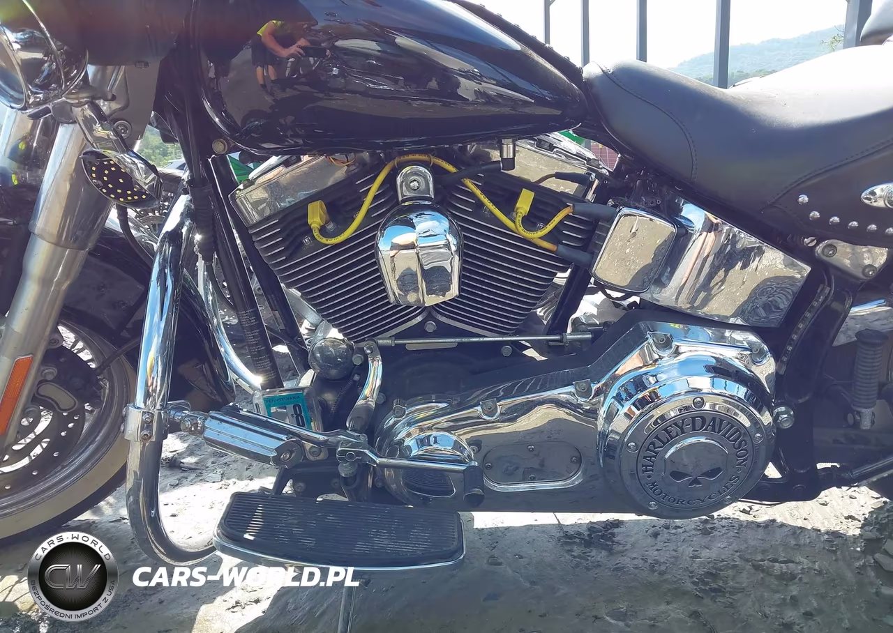 2006 Harley-Davidson Flstci VIN:1HD1BWB166Y091615 - 9