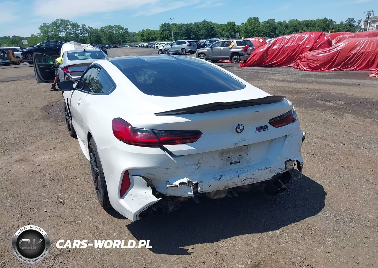 2020 BMW M8 Competition VIN:WBSAE0C04LCD70710 - 17