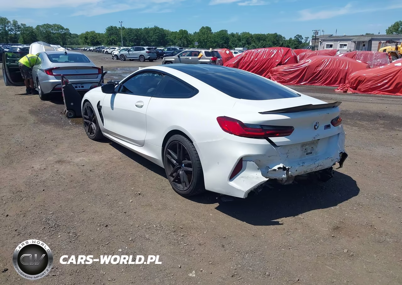 2020 BMW M8 Competition VIN:WBSAE0C04LCD70710 - 3