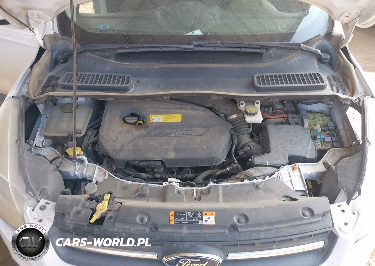 2015 Ford Escape Se VIN:1FMCU0GX7FUC89217 - 10