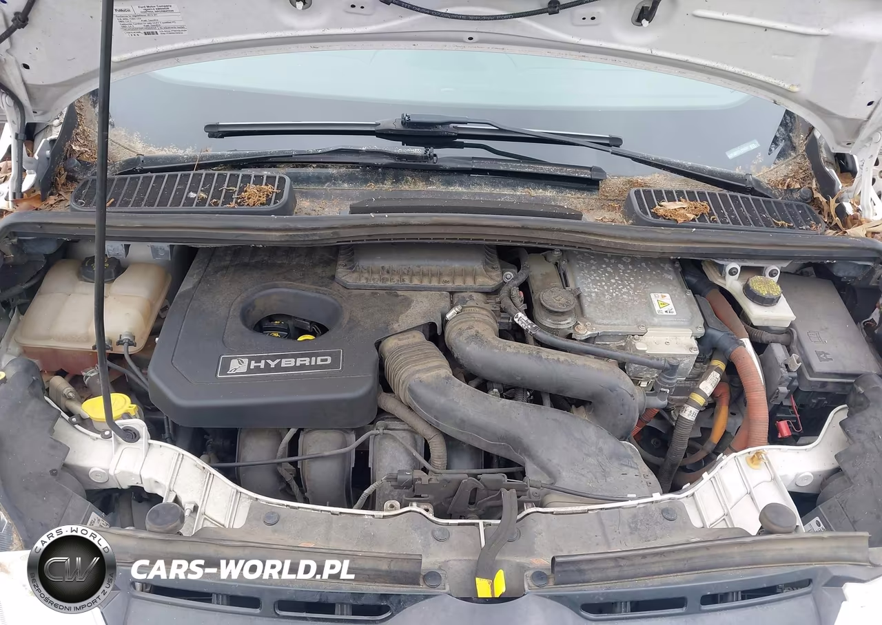 2015 Ford C-Max Hybrid Sel VIN:1FADP5BU7FL124287 - 10