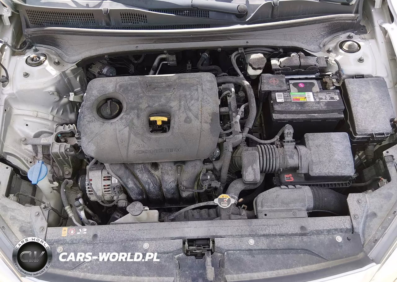 2019 Kia Forte Lxs VIN:3KPF24AD4KE058782 - 10