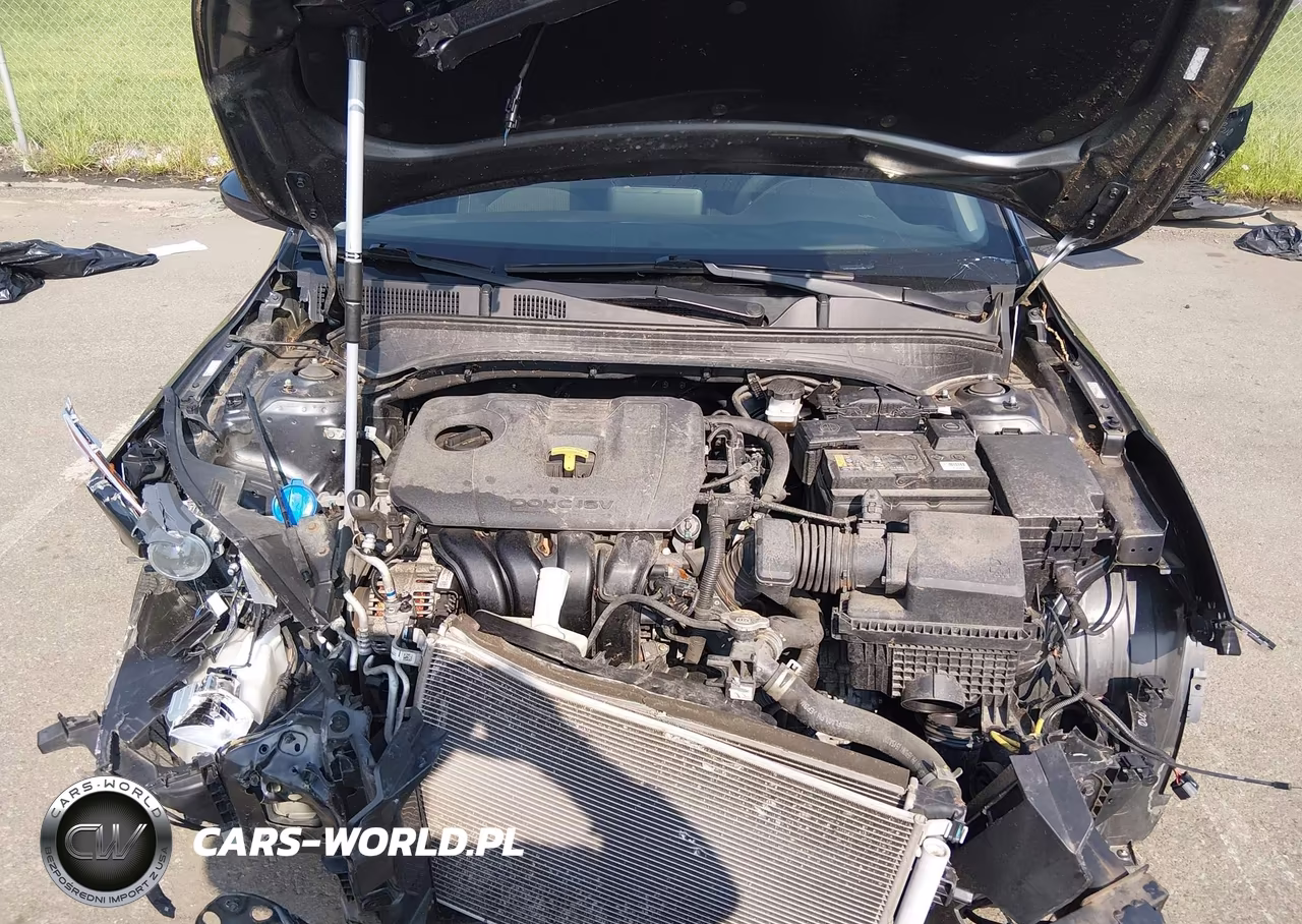 2019 Kia Forte Fe VIN:3KPF24AD4KE129043 - 10