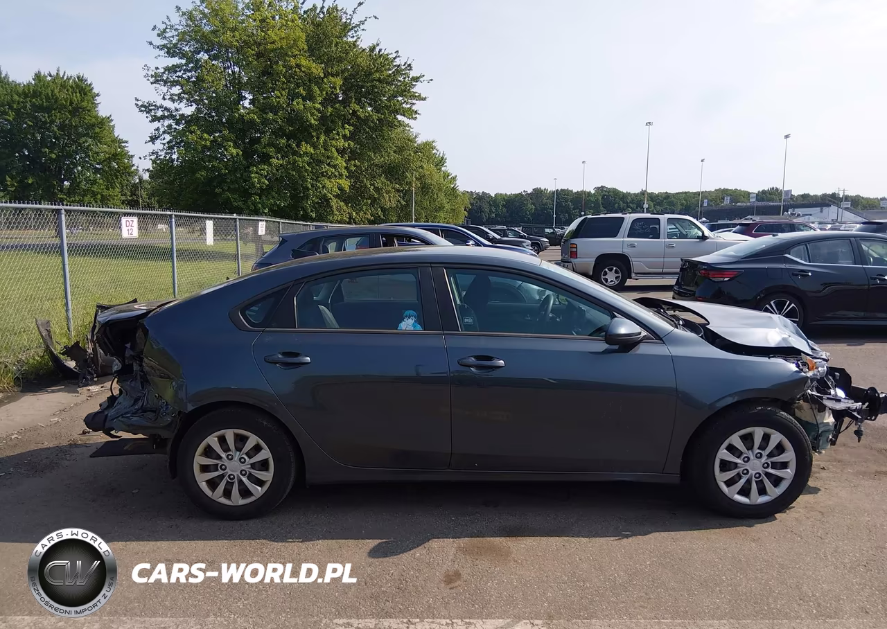 2019 Kia Forte Fe VIN:3KPF24AD4KE129043 - 13