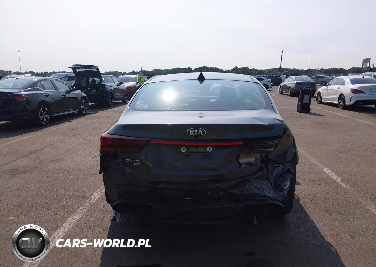 2019 Kia Forte Fe VIN:3KPF24AD4KE129043 - 16