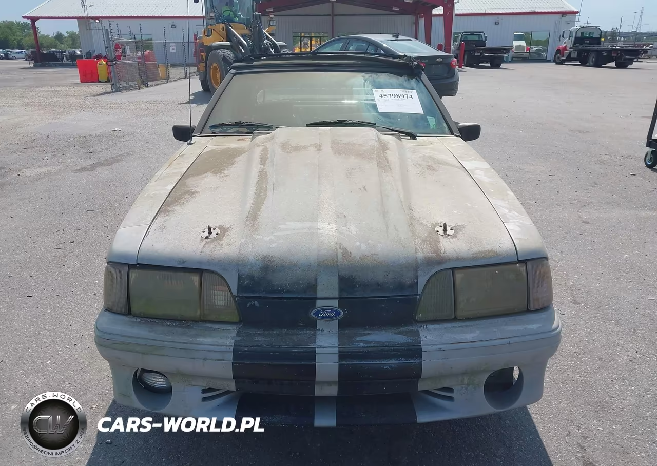 1991 Ford Mustang Gt-Cobra Gt VIN:1FACP45E4MF113141 - 11