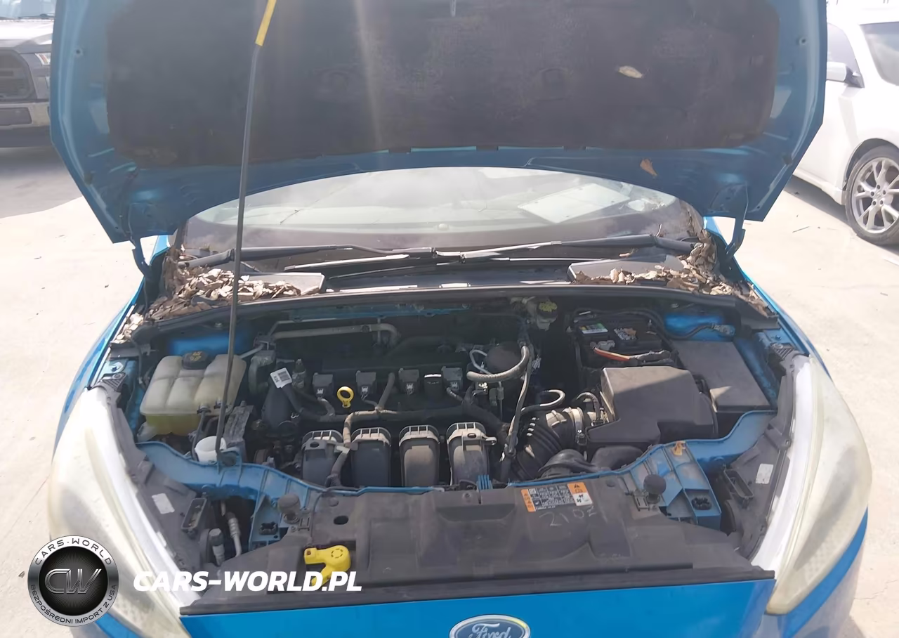 2015 Ford Focus Se VIN:1FADP3K26FL347715 - 10