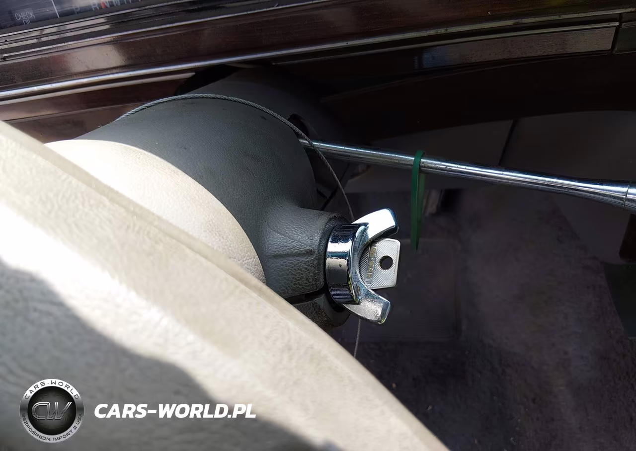 1987 Ford Crown Victoria Lx VIN:2FABP74F7HX100773 - 11