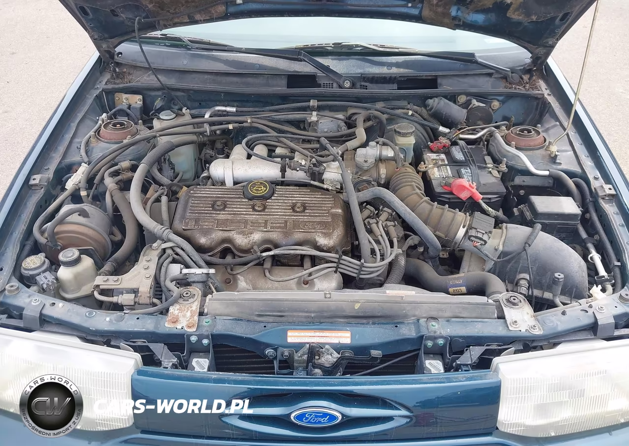 1996 Ford Escort Lx VIN:1FASP14J8TW135795 - 10