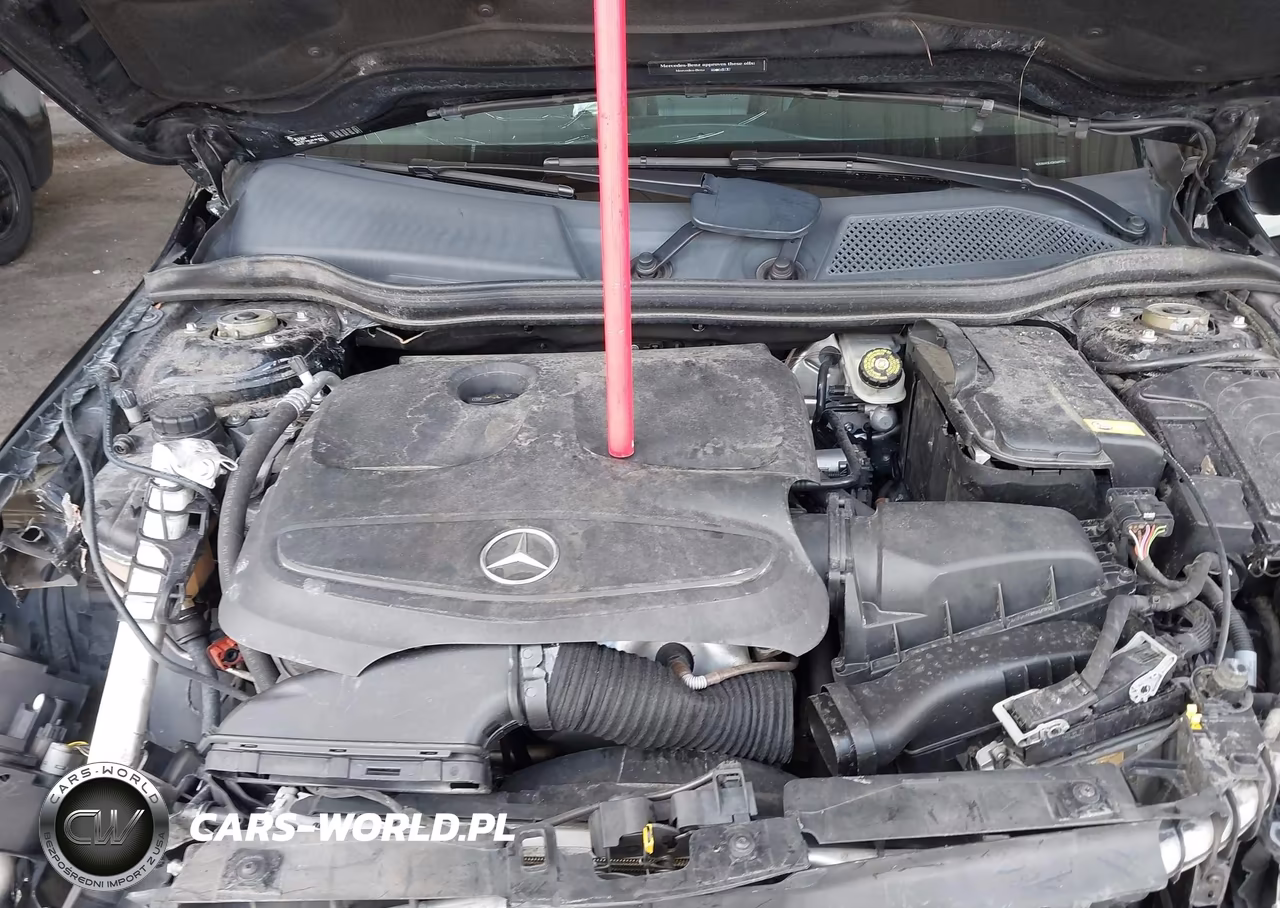 2016 Mercedes-Benz Cla 250 VIN:WDDSJ4EB1GN369752 - 10