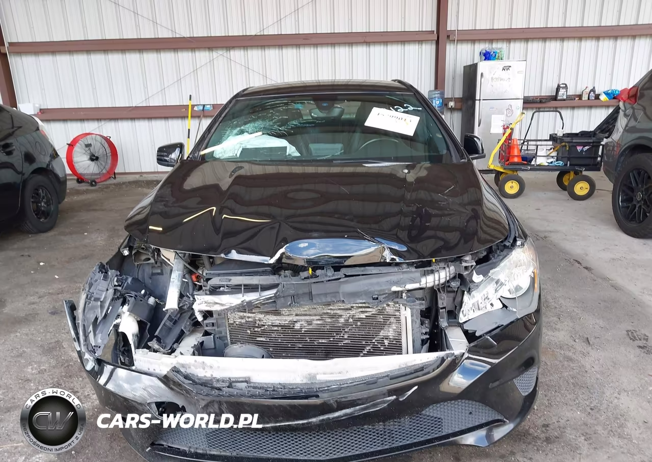 2016 Mercedes-Benz Cla 250 VIN:WDDSJ4EB1GN369752 - 12