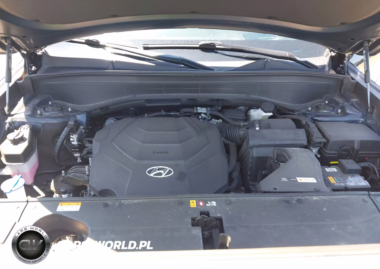 2024 Hyundai Palisade Calligraphy VIN:KM8R7DGE7RU646598 - 10