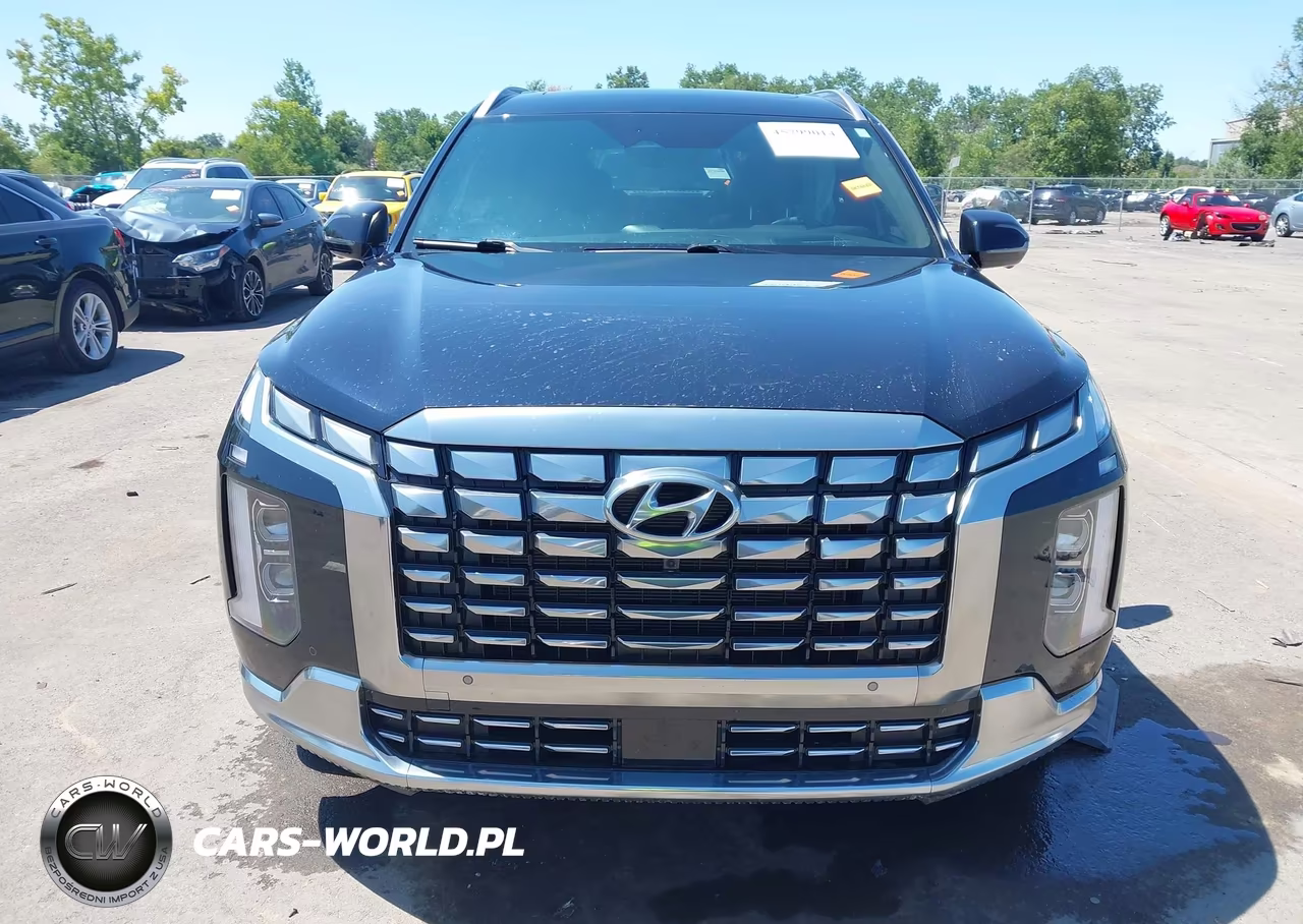 2024 Hyundai Palisade Calligraphy VIN:KM8R7DGE7RU646598 - 12