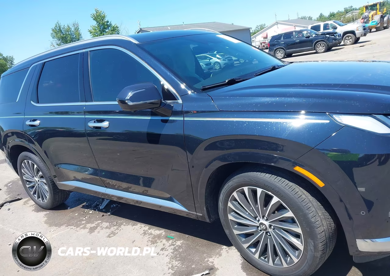 2024 Hyundai Palisade Calligraphy VIN:KM8R7DGE7RU646598 - 13