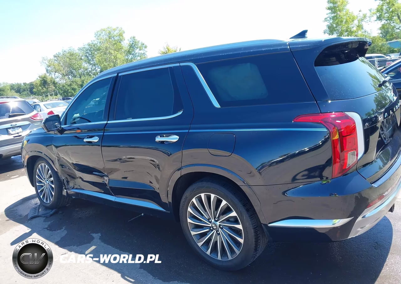 2024 Hyundai Palisade Calligraphy VIN:KM8R7DGE7RU646598 - 14