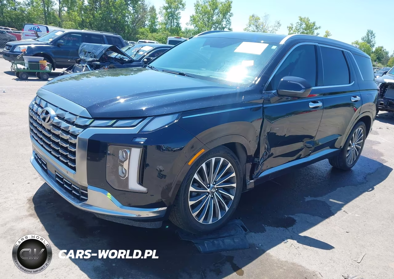 2024 Hyundai Palisade Calligraphy VIN:KM8R7DGE7RU646598 - 2