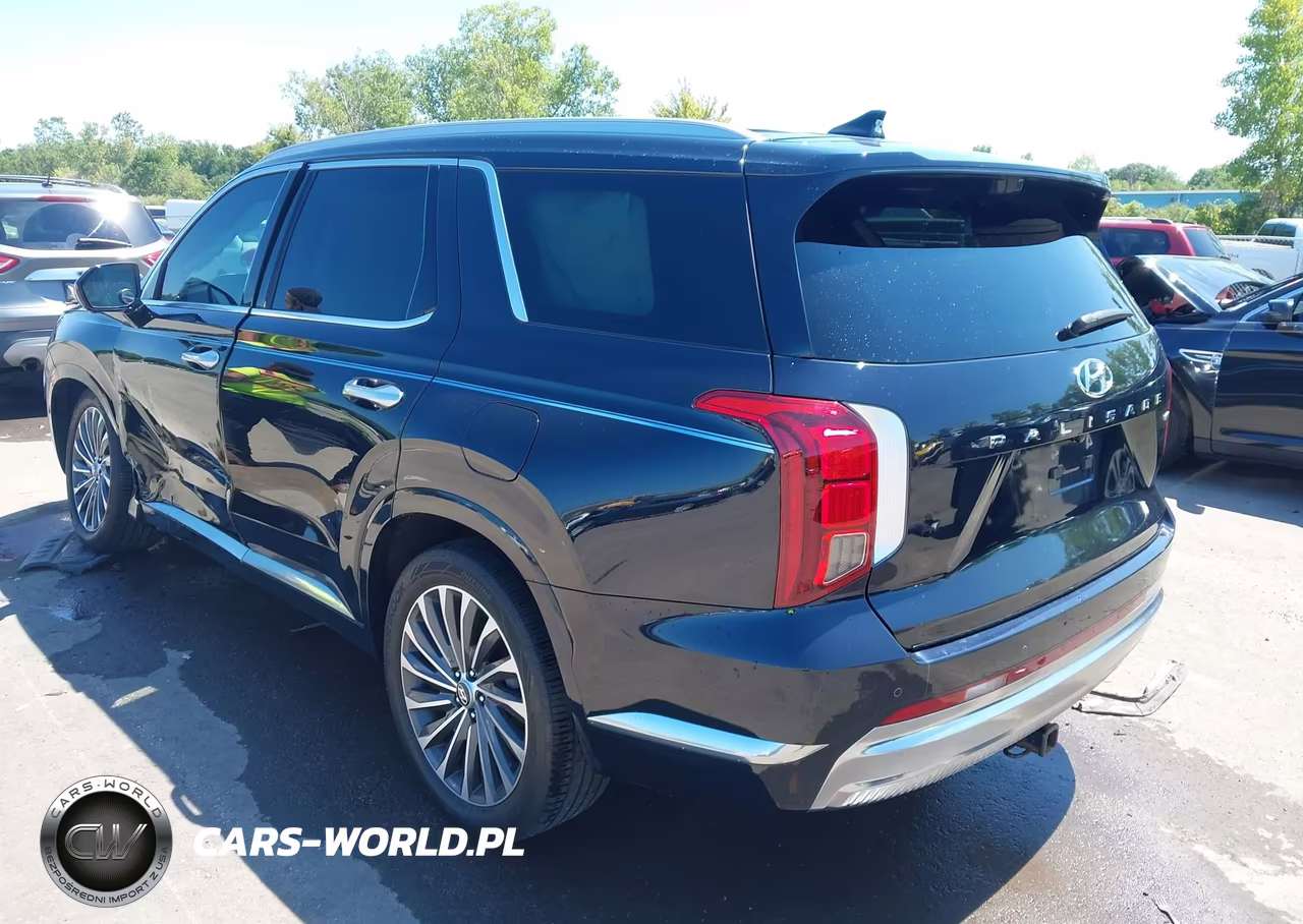 2024 Hyundai Palisade Calligraphy VIN:KM8R7DGE7RU646598 - 3