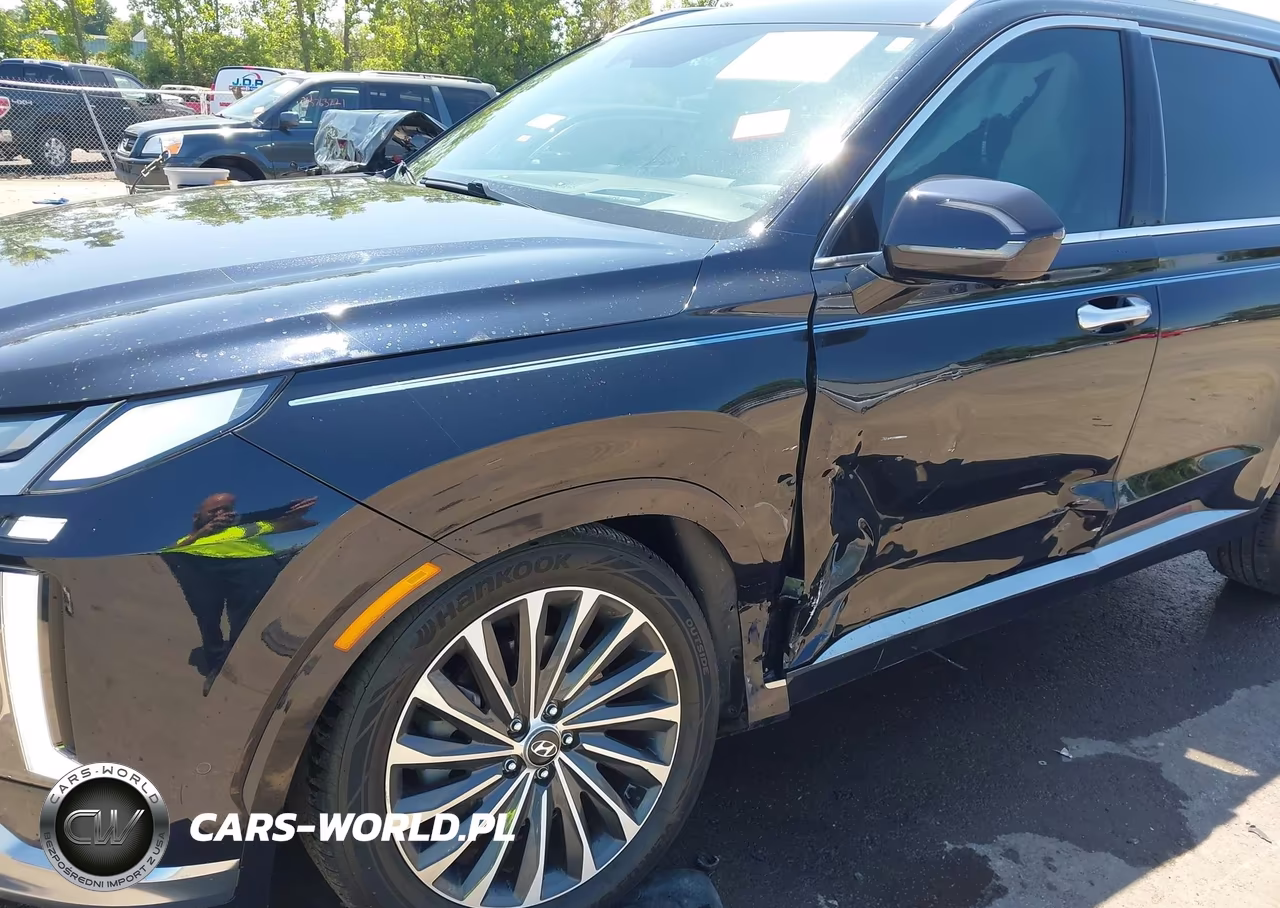 2024 Hyundai Palisade Calligraphy VIN:KM8R7DGE7RU646598 - 6