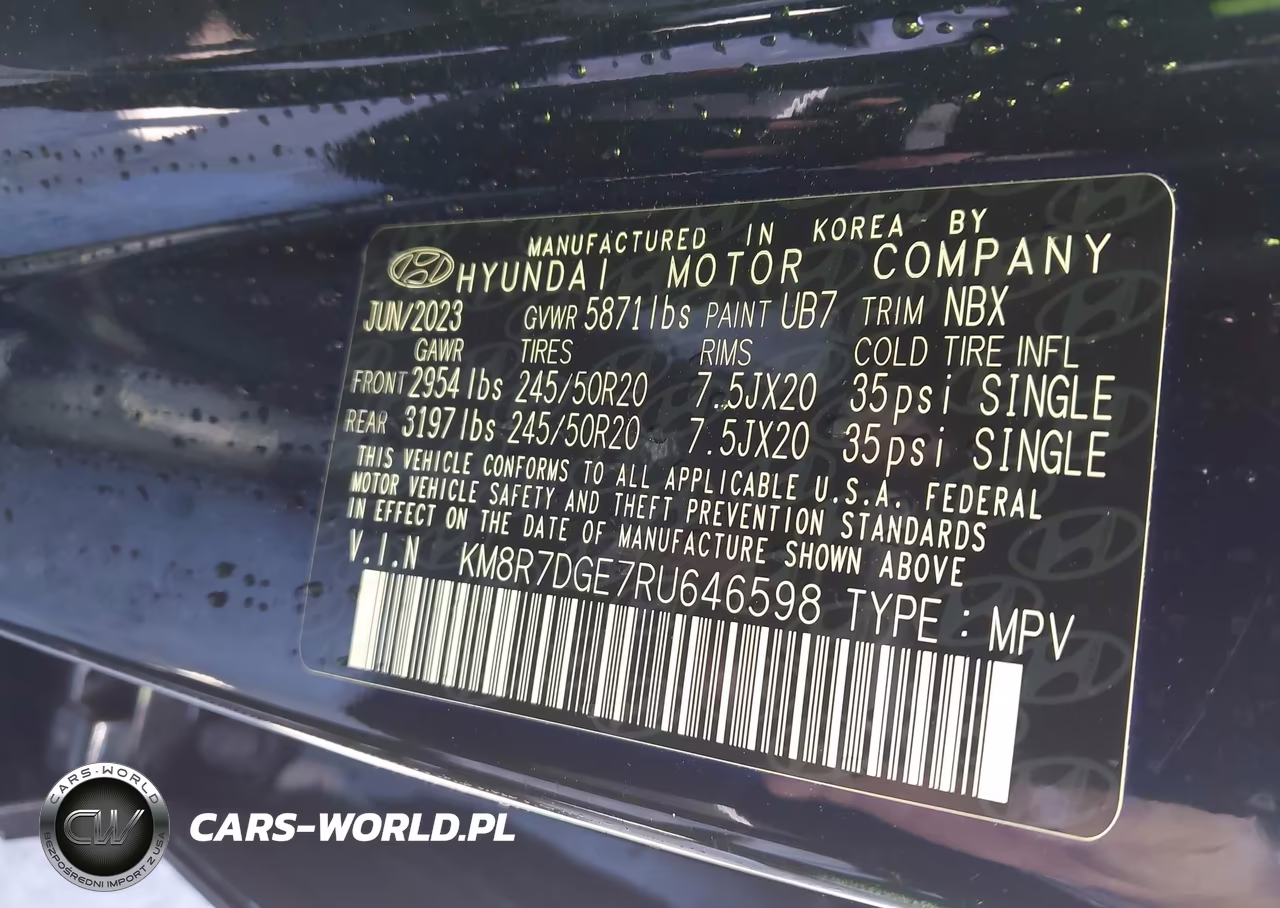 2024 Hyundai Palisade Calligraphy VIN:KM8R7DGE7RU646598 - 9