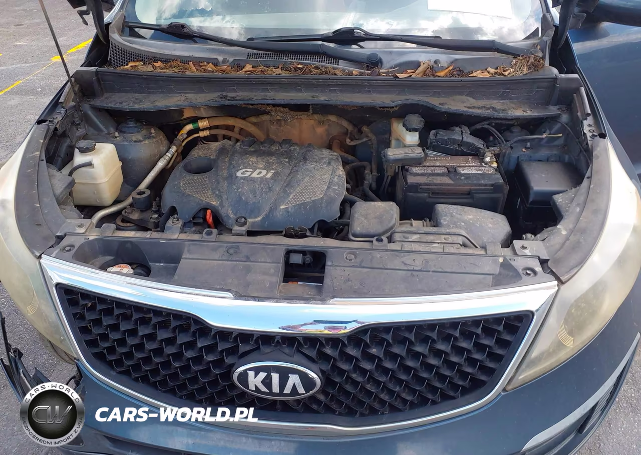 2016 Kia Sportage Lx VIN:KNDPB3AC8G7825532 - 10