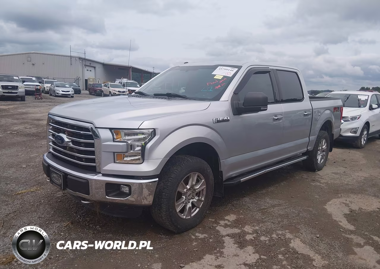 2016 Ford F-150 Xlt VIN:1FTEW1EF9GFC66499 - 2