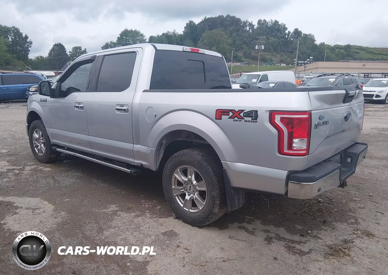 2016 Ford F-150 Xlt VIN:1FTEW1EF9GFC66499 - 3
