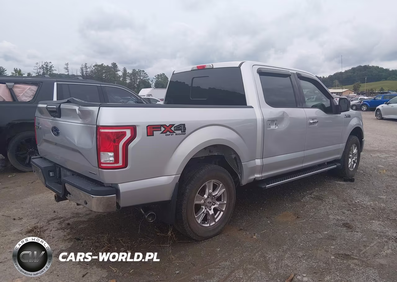 2016 Ford F-150 Xlt VIN:1FTEW1EF9GFC66499 - 4