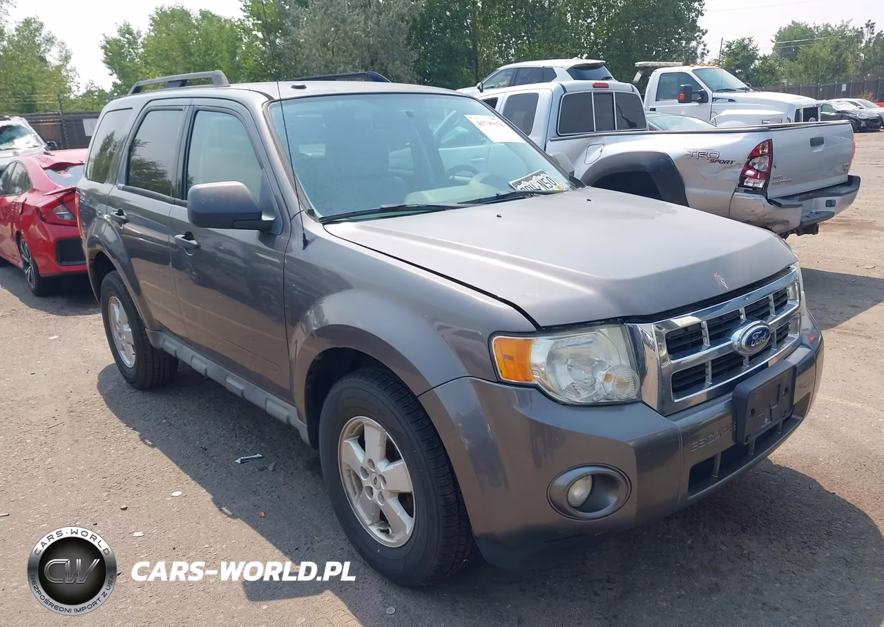 2010 Ford Escape Xlt