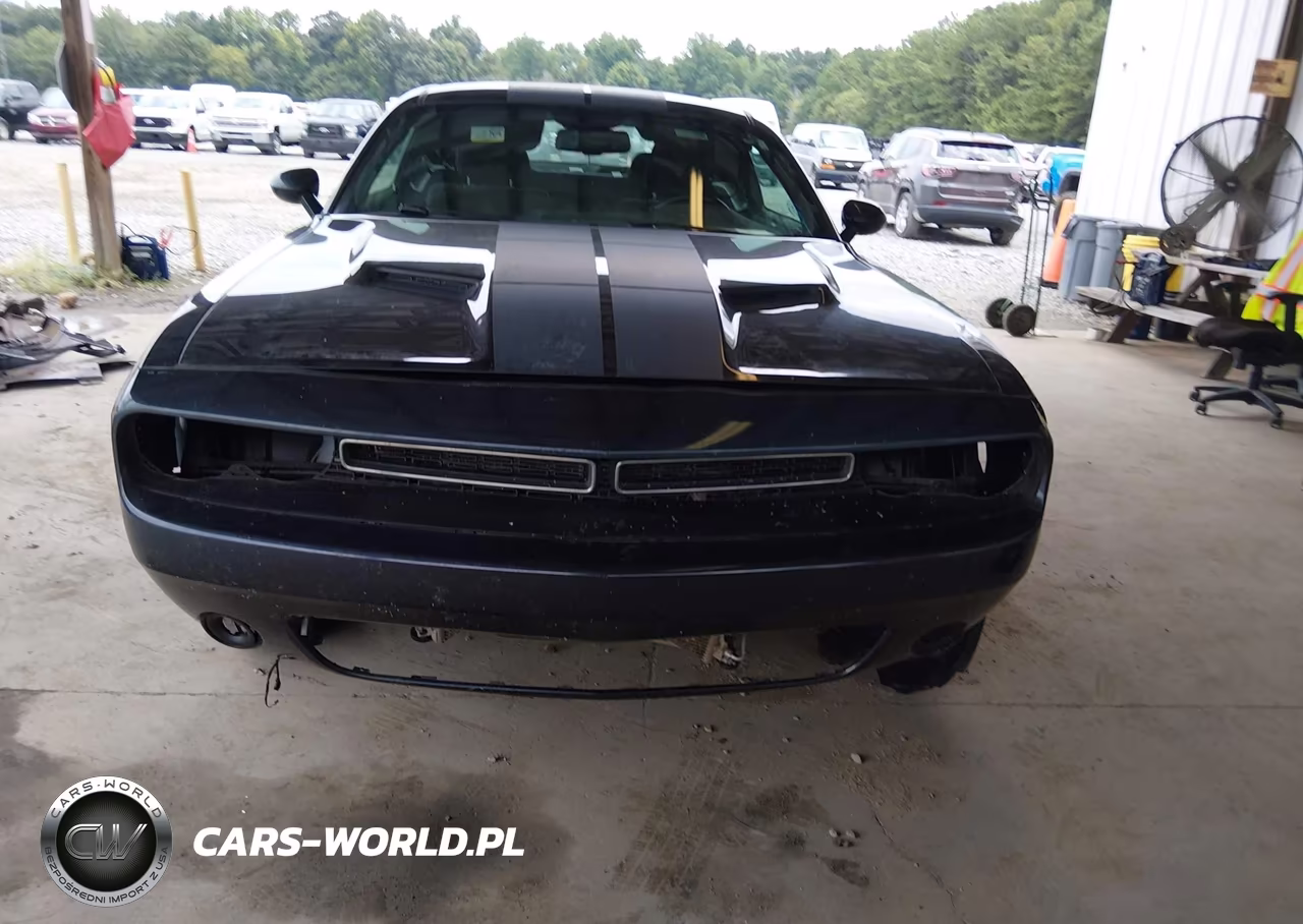 2019 Dodge Challenger Sxt VIN:2C3CDZAG5KH659759 - 13