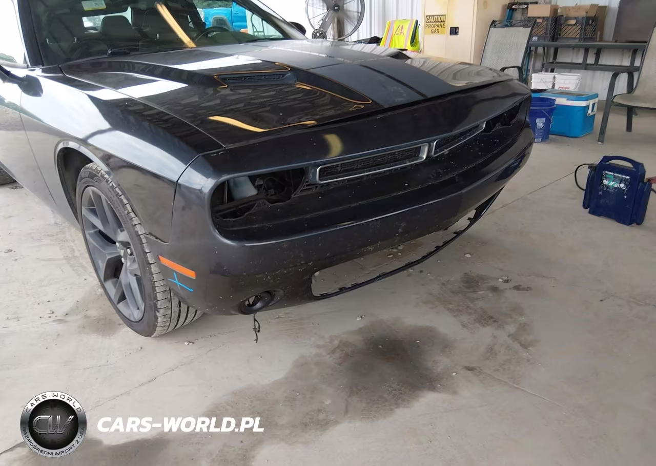 2019 Dodge Challenger Sxt VIN:2C3CDZAG5KH659759 - 18