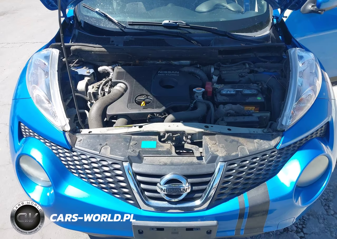 2012 Nissan Juke Sl VIN:JN8AF5MV5CT119823 - 10