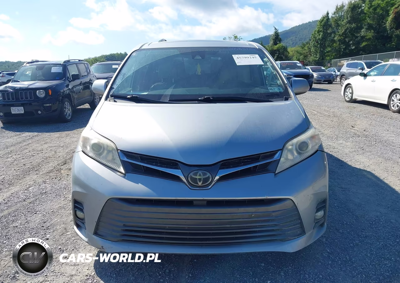 2019 Toyota Sienna Xle 8 Passenger VIN:5TDYZ3DC2KS013556 - 13