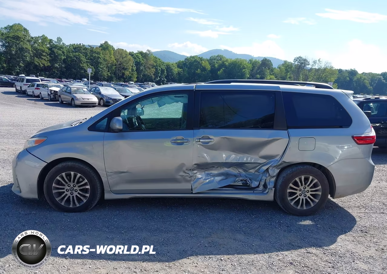 2019 Toyota Sienna Xle 8 Passenger VIN:5TDYZ3DC2KS013556 - 15